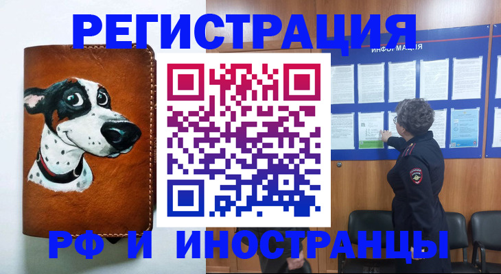 временная регистрация законно в Опочке